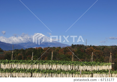 富士山和乾蘿蔔 6713177