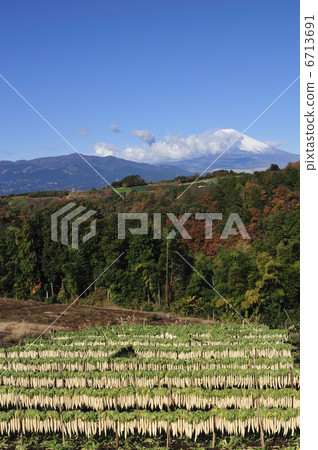 富士山和乾蘿蔔 富士山和乾蘿蔔 6713691