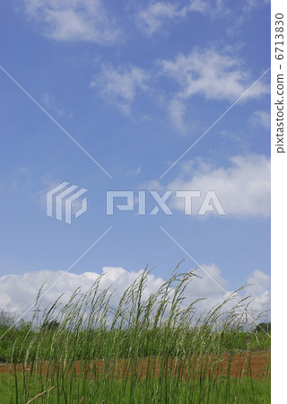blue sky and white clouds blue sky and white clouds 6713830
