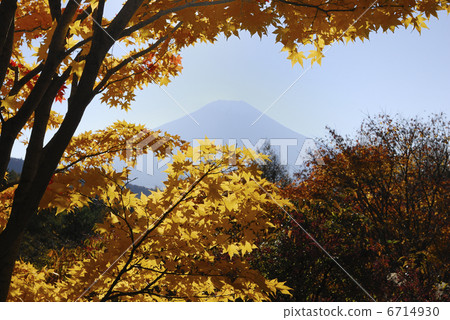 秋天的樹葉 秋天的樹葉 6714930