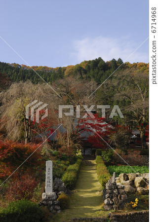 Autumn leaves 6714968