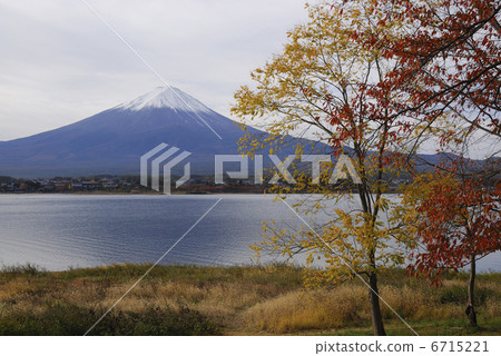 富士和秋葉 富士和秋葉 6715221