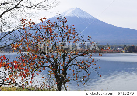 Fuji and persimmon Fuji and persimmon 6715279