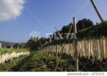 Dried radish 6715516