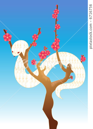 白蛇和李子樹 白蛇和李子樹 6716756