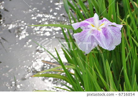 Higo childhood make-up Higo childhood make-up 6716854