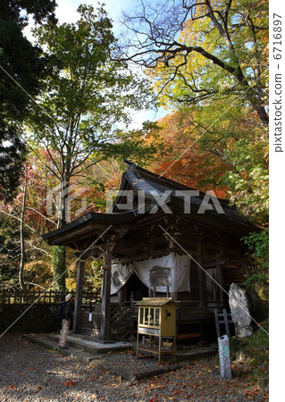 Togaku's autumn leaves Togaku's autumn leaves 6716897