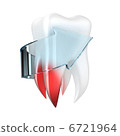 Human tooth 6721964