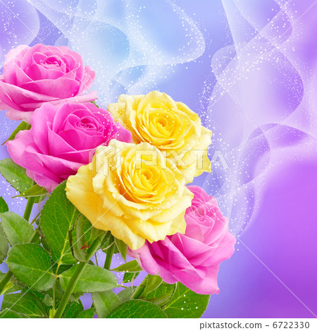 Roses and stars Roses and stars 6722330