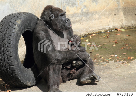 Baby in a nigrilora 6723159