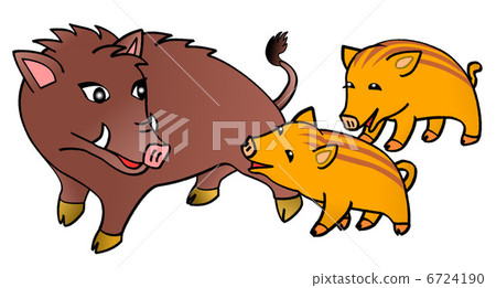 Parent and child of a boar 6724190