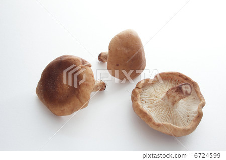 Shiitake mushroom Shiitake mushroom 6724599