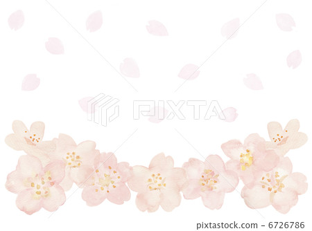 櫻花和鮮花雪 6726786