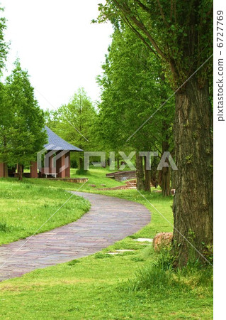 Park walking trail Park walking trail 6727769