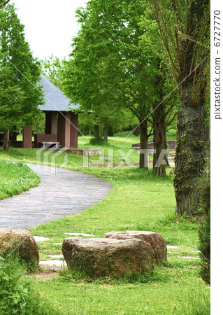 Park walking trail Park walking trail 6727770