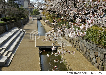京都堀川長廊 6728253