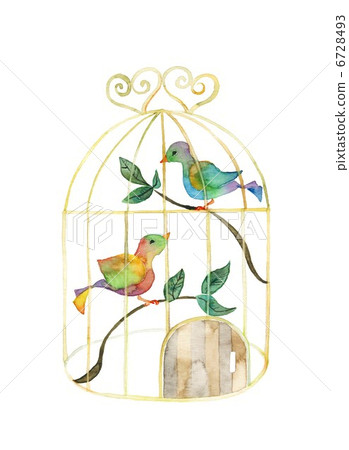 Birds mating, caged birds Birds mating, caged birds 6728493