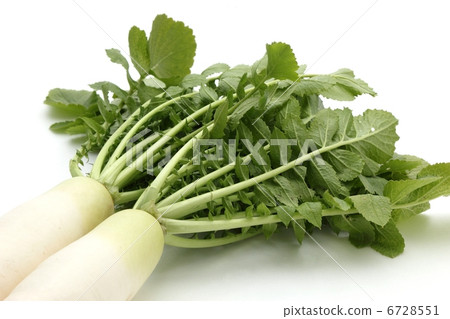 Leaves with radishes Leaves with radishes 6728551
