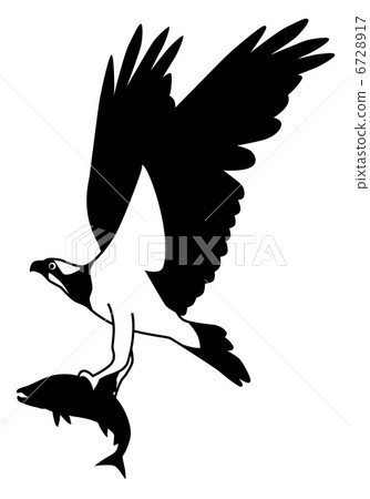 Osprey 1 6728917