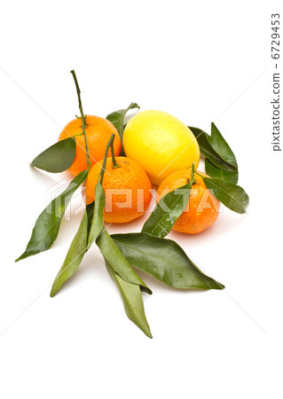 Ripe cytrus on white background 6729453