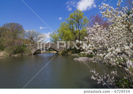 春天的紐約中央公園 6729554