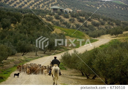 A farmer A farmer 6730510