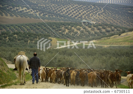 A farmer A farmer 6730511