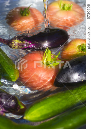 夏季蔬菜 夏季蔬菜 6730606