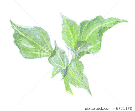 Ice plant ballist 6731178