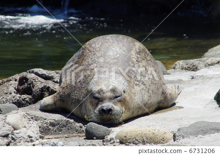 我很困... Todo。 我很困... Todo。 6731206