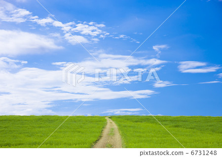 Prairie and road 6731248