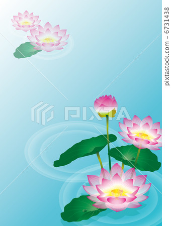 Lotus 6731438