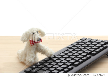 Dog plush toys and keyboard 6732676