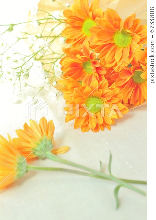 噴媽媽 噴媽媽 6733808