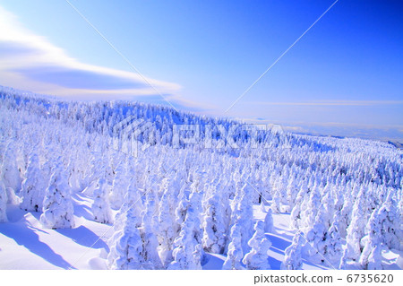 Zao的冰晶 6735620