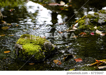 日本庭園 6735647