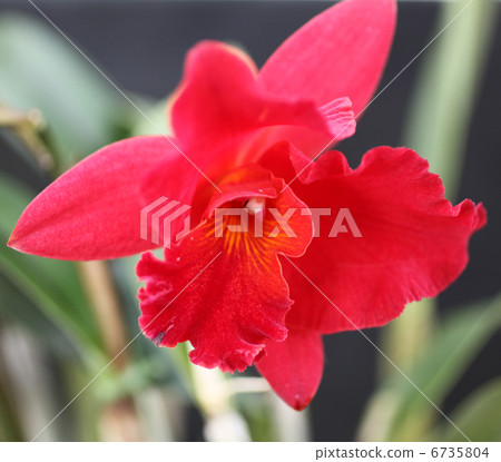 西部運行 6735804