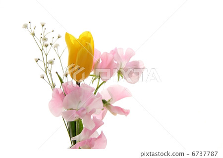 Ikebana 6737787