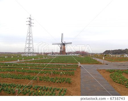 Sakura Furusato Square 6738743