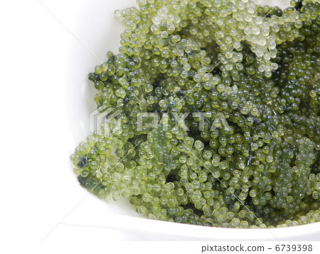    Sea grapes 6739398