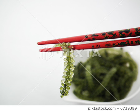    海洋葡萄 6739399