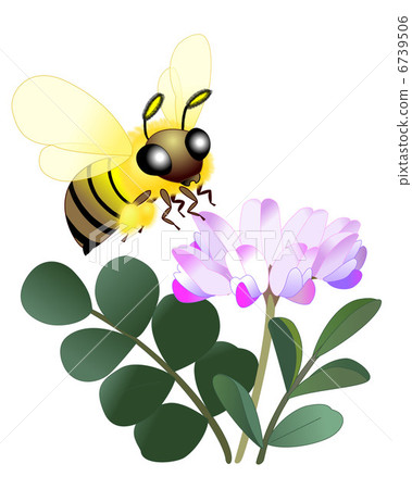 Astragalus and honey bees Astragalus and honey bees 6739506