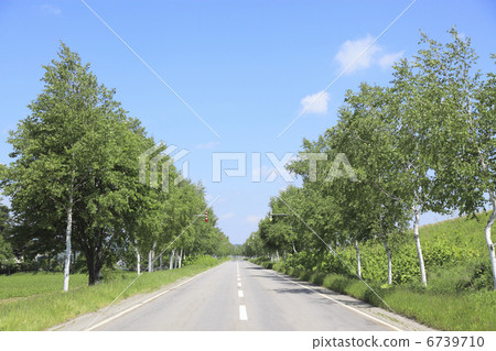 白木竹街 白木竹街 6739710