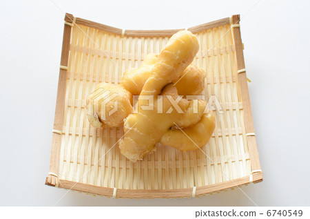 ginger ginger 6740549