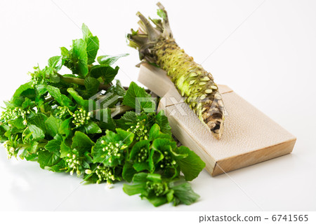 Flowers with wasabi and horseradish and shark peel (white back) 6741565