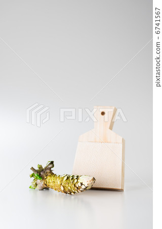 Book with wasabi and shark peel (white back) Book with wasabi and shark peel (white back) 6741567