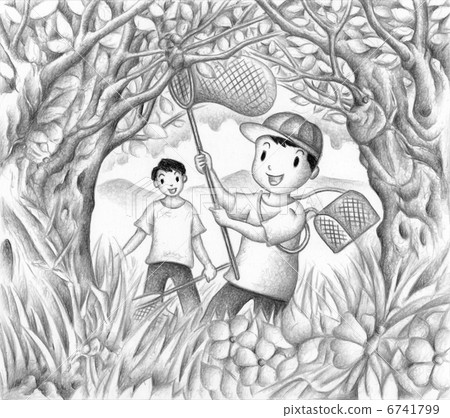 Capture of insects 6741799