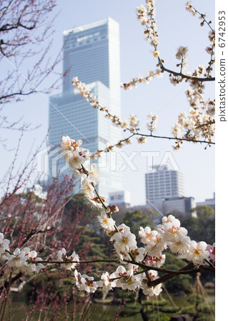 阿倍野Harukasu 6742953