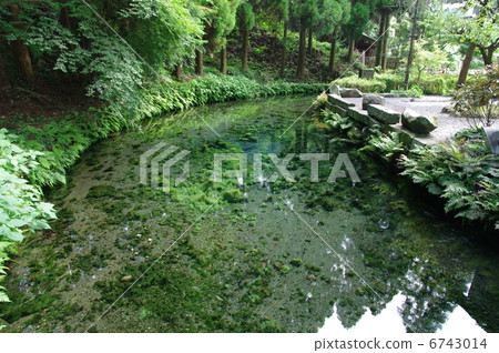 Shirakawa water source 6743014