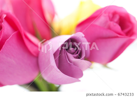 background of bouquet of colorful roses 6743233
